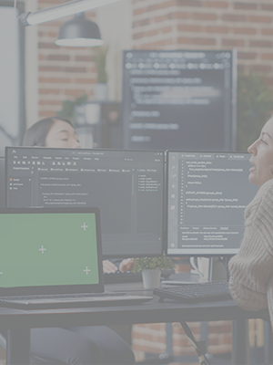 LRS Reduced SAP Basis Involvement